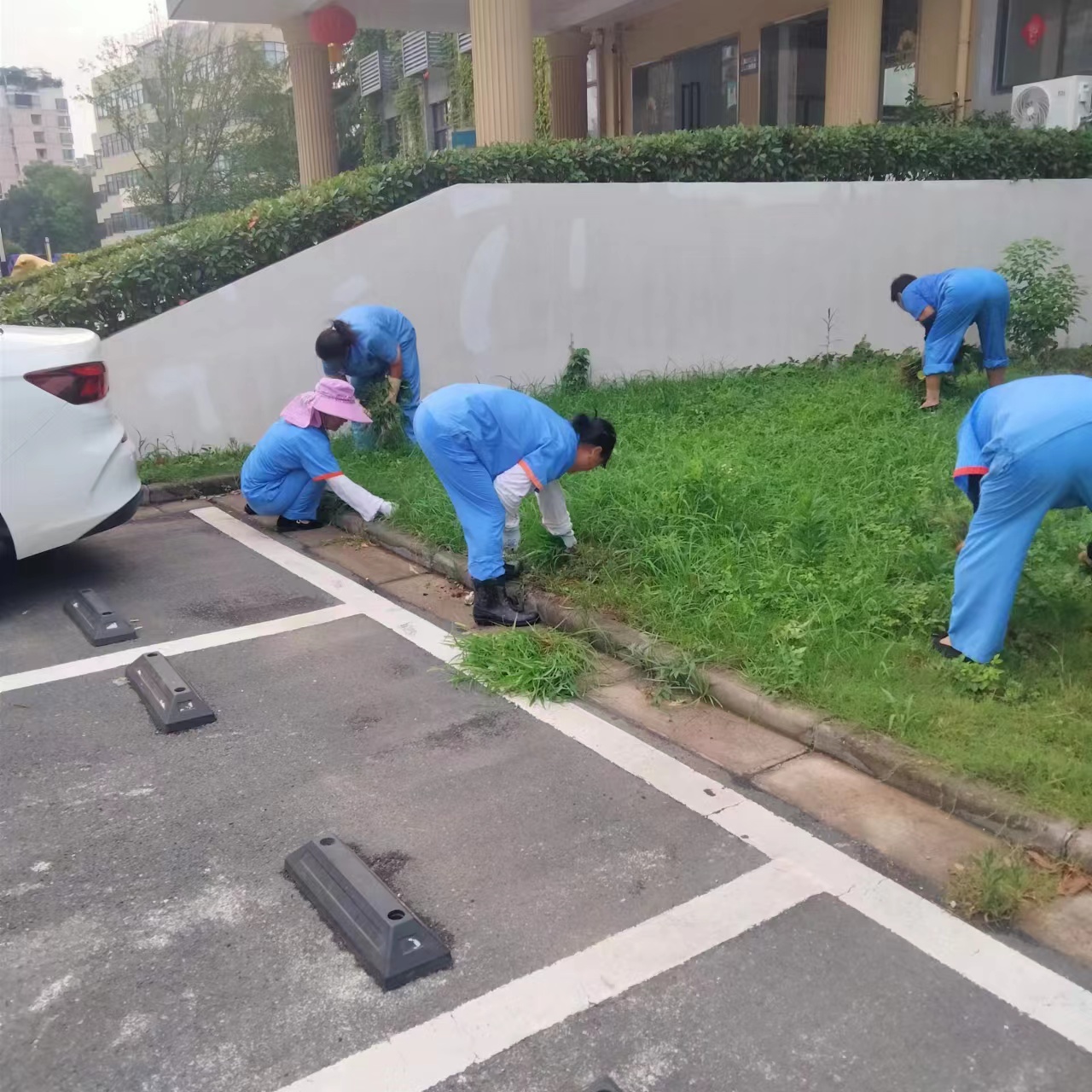 “園區(qū)勤打理，綠化正當(dāng)時”——廬陽建華文創(chuàng)園積極開展環(huán)境美化工作